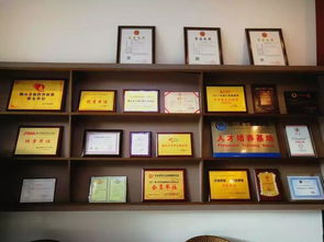 中越股份 企業(yè)一站式服務(wù)專家，引領(lǐng)計(jì)算機(jī)信息化時(shí)代